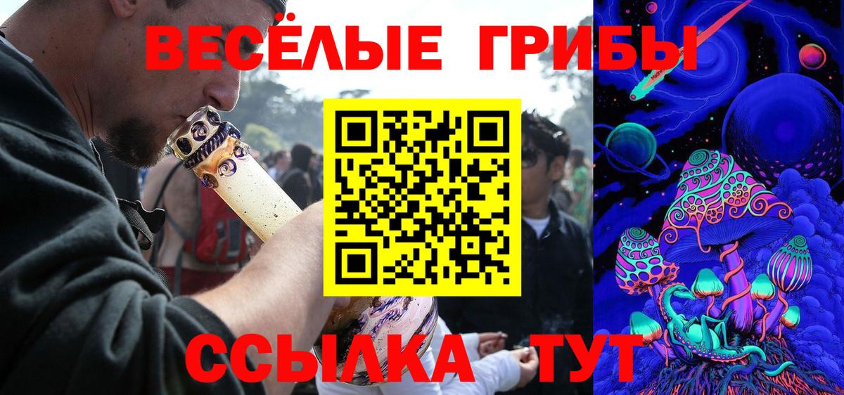 Псилоцибиновые грибы мицелий Тимашёвск