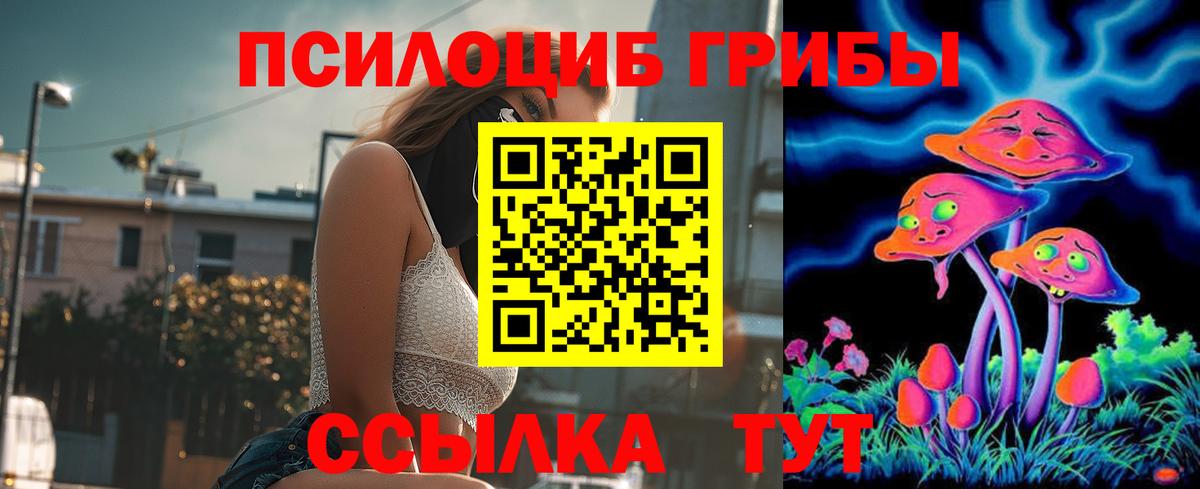 как найти закладки  Псилоцибиновые грибы GOLDEN TEACHER  Тимашёвск  Вход с VPN  Галлюциногенные грибы прущие грибы 